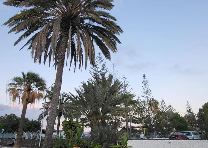 Casa Iry アパート